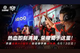 KPL总决赛AG对战TS，一诺暖阳再相见，哈欠buff对战工资体系图片