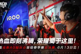 KPL总决赛：AG哈欠buff对上TS工资体系，一诺暖阳谁能夺得银龙杯图片