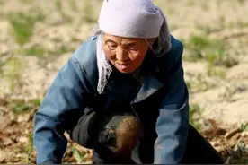 85岁老人喝药自杀，丧礼上众人嗨歌艳舞，《喜丧》刺痛多少人性图片