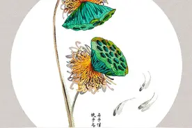 作品欣赏｜唯美的构图与配色，这些让人惊艳的诗词画太美了图片