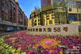 从伤筋动骨到脱胎换骨的完美蝶变——邯郸市复兴区庞村街道铁西南大街58号院改造纪实图片
