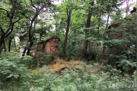 秦岭密林中发现个破宅子，可能有隐士在此住过，阴森森的能拍鬼片图片