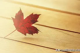 2021年山东省泰安市高新区中考三模语文试题图片