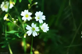 4月16日 读书有感——“知小节，明大义”图片