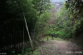 秦岭深处一对夫妻，守着大山过日子年收入10万，自给自足还有存款图片