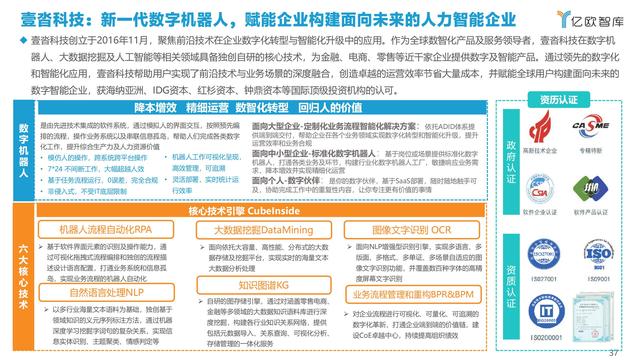 2021�й�AI��ҵ����г��о�����