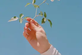 讲真，那个每天陪你聊天的男人，很可能不爱你图片