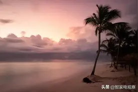 飞利浦3M亚都净水器被召回，行业发展已陷入低迷图片