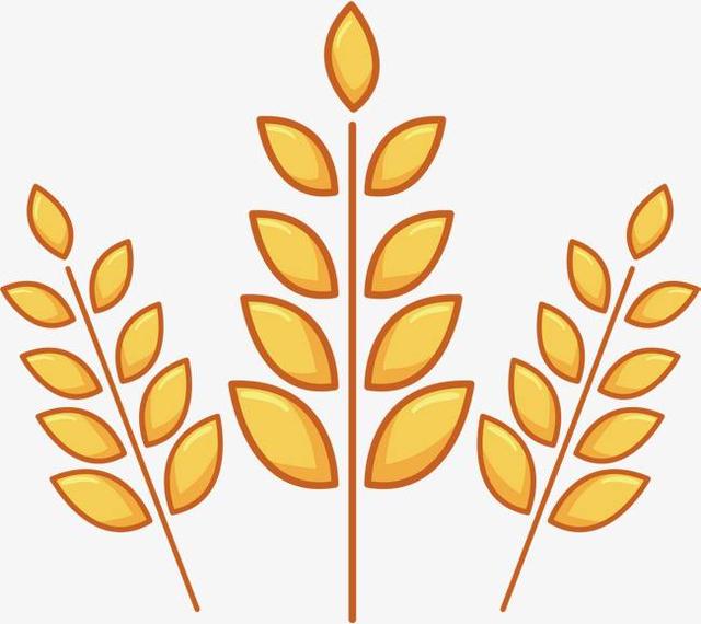 蛋白质大学问，天天都在谈的蛋白质，今天就来认识下