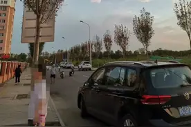 多图慎点！！天津多地惊现高密度毛毛虫……图片