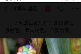转基因大豆和非转基因大豆一句什么区别？选择哪种更健康？图片