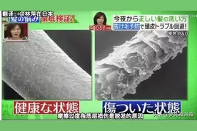 毛囊“清洁器”，声波按摩洗头刷，清头皮油脂，洗头更干净！图片