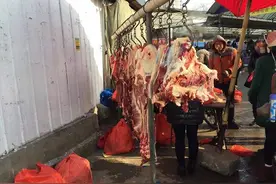 储备肉投放后就石沉大海，肉价一如既往，为啥？图片