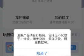 我欠借呗6万块钱逾期1年，无力偿还，会上征信吗？会被判刑吗？图片
