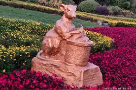 欣赏12生肖美图图片