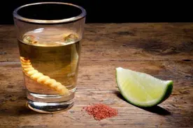 只有中国人泡药酒？前几年老外也开始"泡药酒"了，泡的还是虫子图片