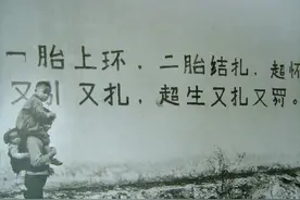 专家：全面放开三胎，网友：你自己去生图片