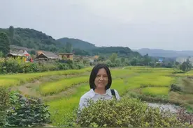 信阳市平桥区第一小学 优秀教师篇图片