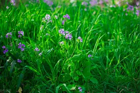 写给我心里的爱人：做不成夫妻，我也会在心里想你一辈子图片