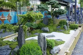 植物景观总体布局——稳定与均衡图片