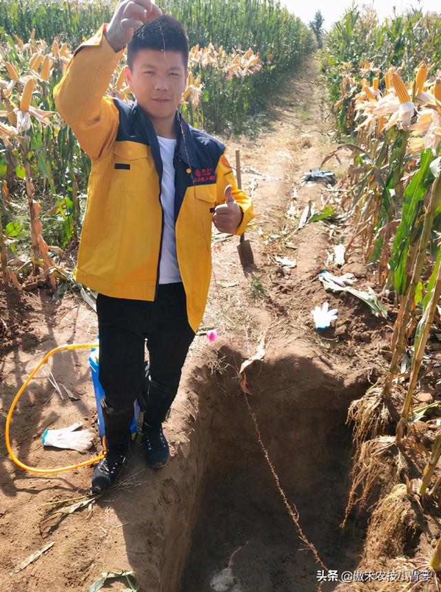 作物根系不良、长势差，使用哪种生根剂促根、缓苗、壮棵效果好？