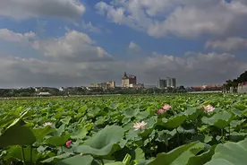 广东东莞迳联村，桥头闹市中的桃花源，残破的古屋是年代久远见证图片
