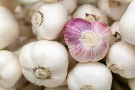 5月买大蒜，紫皮好还是白皮好？菜农：教你一招，轻松买到优质蒜图片
