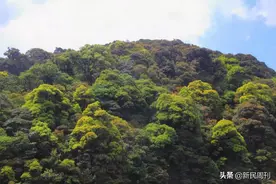 四人殒命哀牢山，为何进山时穿着“一次性雨衣”？图片