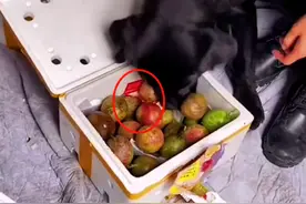警犬执勤时“偷吃”水果，没想到才上班几天，就立了大功图片