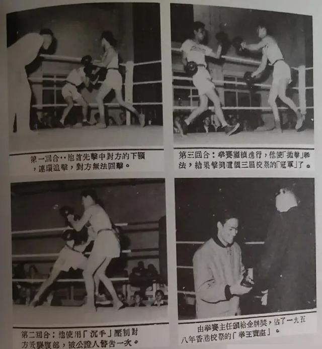中国影坛“十大实战高手”，李连杰、甄子丹、吴京，皆不在列