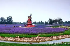 河北48条“春观花”旅游线路藏不住了图片