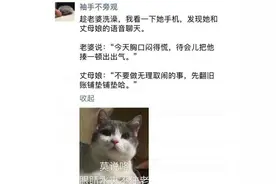 搞笑我们是专业的，除非忍不住....哈哈哈哈图片