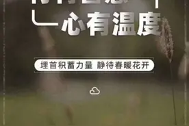2019 年山东省临沂市中考数学试卷图片