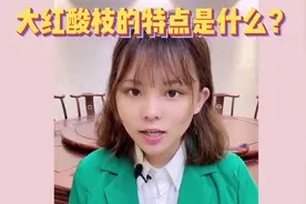 大红酸枝的特点是什么？