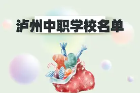 泸州中职学校有哪些？分别是什么性质的学校图片