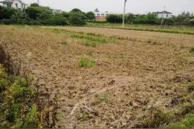 农村荒地整治，荒地要收回？一类土地归集体，两大问题农民要注意图片