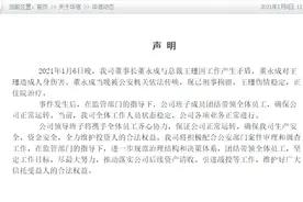 六旬董事长在电梯里抡锤打伤女总裁！公司回应：因工作产生矛盾，将积极配合调查图片