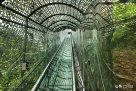 坐这种滑道只要掌握了正确的方法，速度可以随心所欲的控制图片