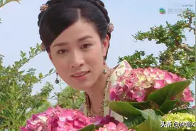 宫心计：刘三好的首饰：孔雀开屏项链、蓝水钻金钿、蝴蝶大袖衫图片