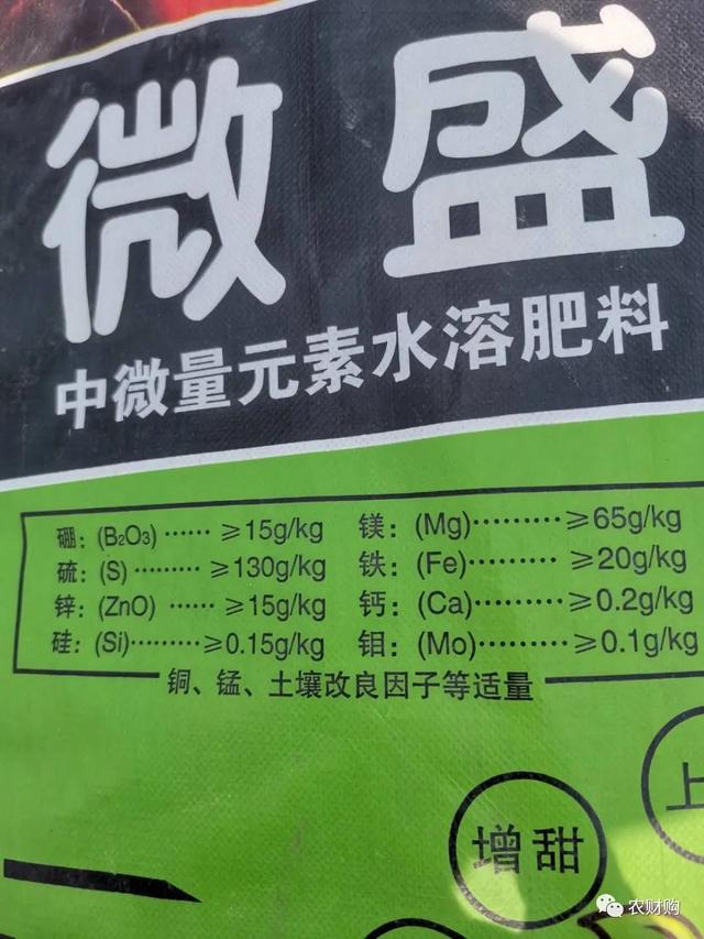 婧冪枴鐥呭浣曟牴娌伙紵鏌戞鎬庝箞鍍忓崡鐡滀竴鏍凤紵鑶ㄦ灉绋虫灉鍙互杩欎袱涓偉涔堬紵