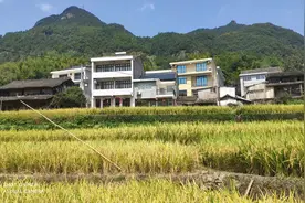 黄岩五尖山、百步峻与临海岭脚金、小龙潭、骑行(自驾)路线规划图片