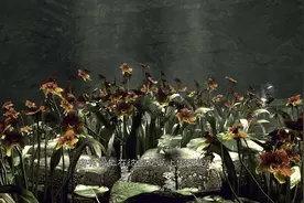 《生化危机》系列游戏剧情之游戏背景图片