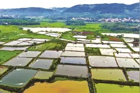 昔日“天坑”变大美渔业小镇图片