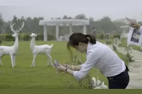 她与老伴“喝”了最后一次下午茶，葬礼策划师：真正的离开，不是死亡，是遗忘图片
