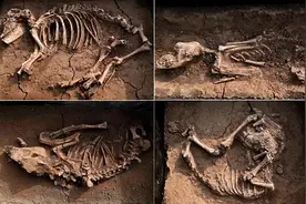 冲上热搜！河南又又又又发现王级大墓，距今2600多年，随葬品震撼图片