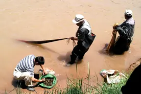 黄河调水调沙19年，下游成“泥河”，专家却说黄河水在变清？图片