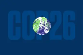 2030年起不再砍树？114个国家同意了！然而还有国家要反悔图片