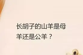脑筋急转弯：什么东西越洗越脏，洗了反而没人吃？图片