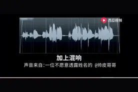 百万声卡到底有多神奇？西瓜制作人缸缸在干嘛告诉你图片