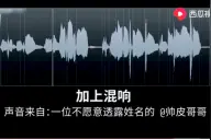 百万声卡到底有多神奇？西瓜制作人缸缸在干嘛告诉你图片